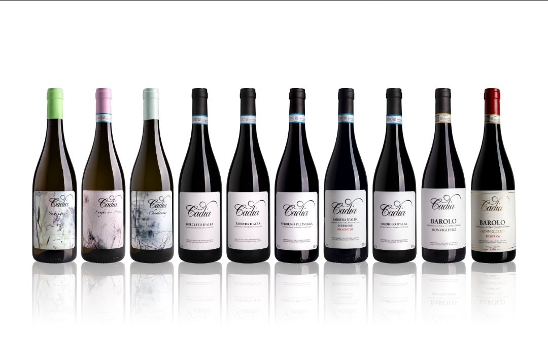 Immagine 2 di 6 di Galleria della Cantina